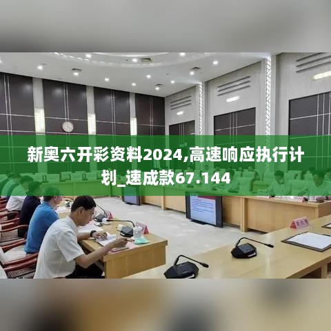 新奥六开彩资料2024,高速响应执行计划_速成款67.144