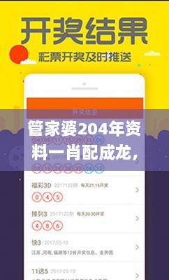 管家婆204年资料一肖配成龙,综合检测的优化计划_典藏型80.269