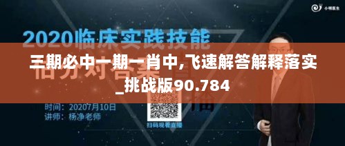 三期必中一期一肖中,飞速解答解释落实_挑战版90.784