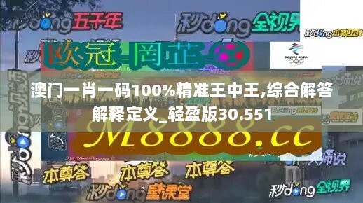 澳门一肖一码100%精准王中王,综合解答解释定义_轻盈版30.551