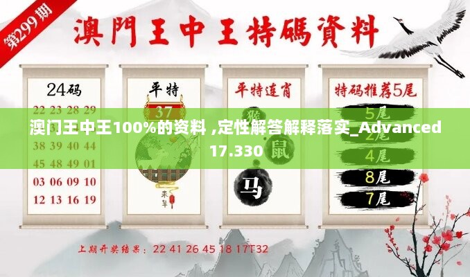 澳门王中王100%的资料 ,定性解答解释落实_Advanced17.330