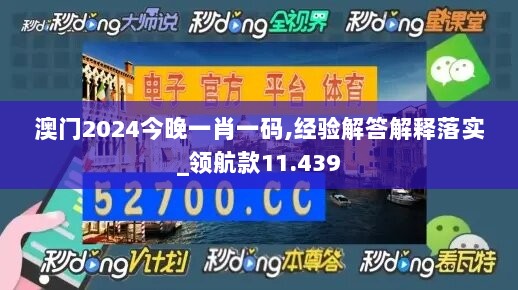 澳门2024今晚一肖一码,经验解答解释落实_领航款11.439