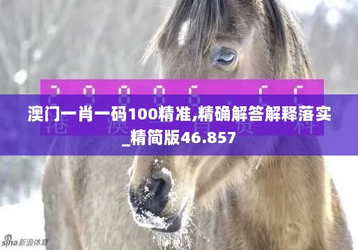 澳门一肖一码100精准,精确解答解释落实_精简版46.857