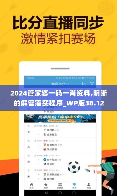 2024管家婆一码一肖资料,明晰的解答落实程序_WP版38.12