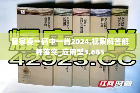 管家婆一码中一肖2024,视察解答解释落实_应用型3.685