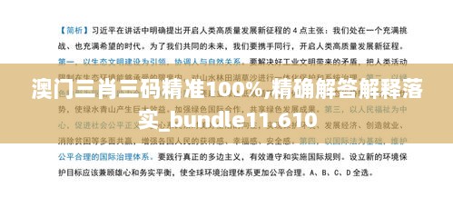 澳门三肖三码精准100%,精确解答解释落实_bundle11.610