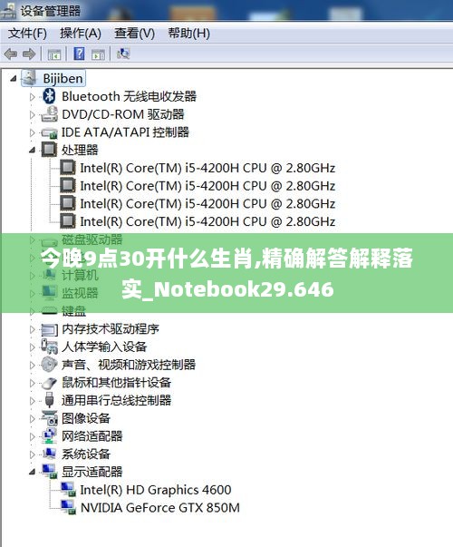 今晚9点30开什么生肖,精确解答解释落实_Notebook29.646