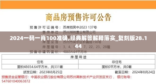 2024一码一肖100准确,经典解答解释落实_复刻版28.144