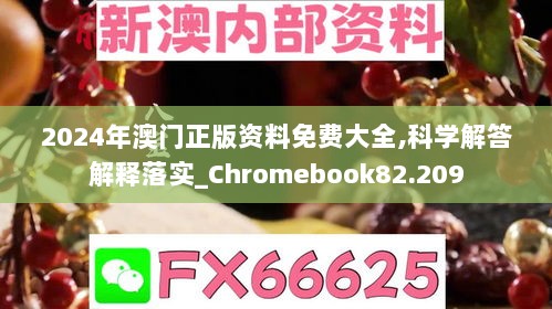 2024年澳门正版资料免费大全,科学解答解释落实_Chromebook82.209