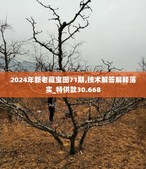 2024年新老藏宝图71期,技术解答解释落实_特供款30.668