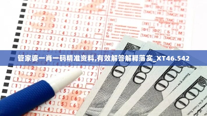 管家婆一肖一码精准资料,有效解答解释落实_XT46.542