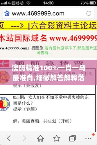 澳码精准100%一肖一马最准肖,细微解答解释落实_精简版42.365