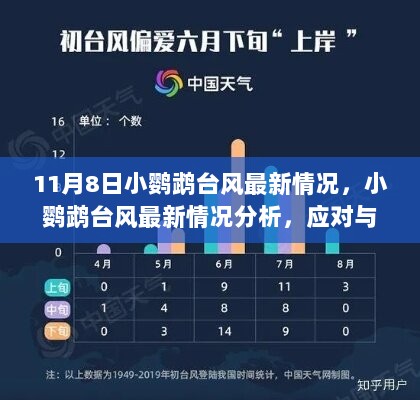 小鹦鹉台风最新情况分析与应对挑战