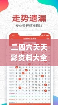 二四六天天彩资料大全网最新2024,深入解读解答解释计划_领航版63.101