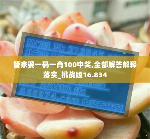 管家婆一码一肖100中奖,全部解答解释落实_挑战版16.834