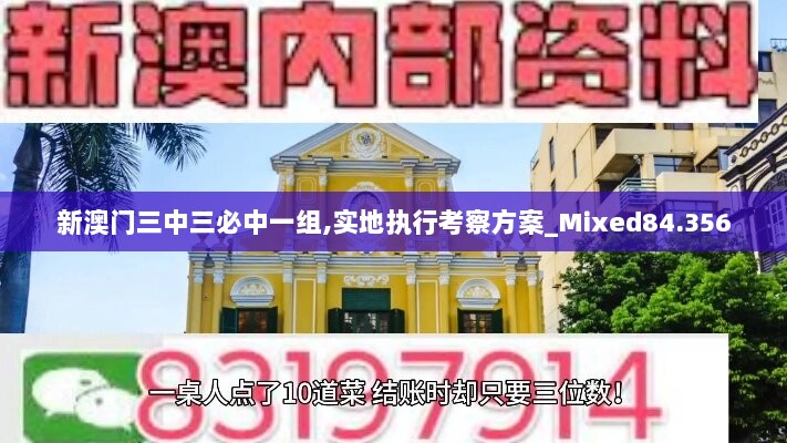 新澳门三中三必中一组,实地执行考察方案_Mixed84.356