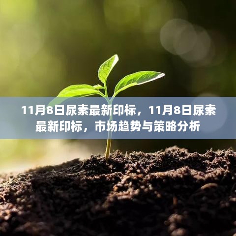 11月8日尿素市场最新印标及策略分析