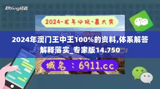 2024年澳门王中王100%的资料,体系解答解释落实_专家版14.750