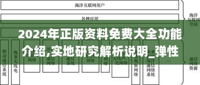 2024年正版资料免费大全功能介绍,实地研究解析说明_弹性款20.929