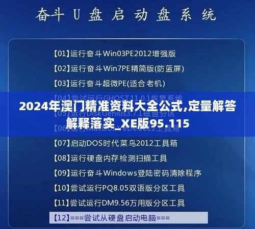 2024年澳门精准资料大全公式,定量解答解释落实_XE版95.115