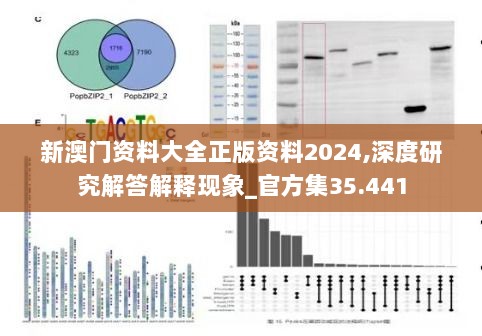 新澳门资料大全正版资料2024,深度研究解答解释现象_官方集35.441