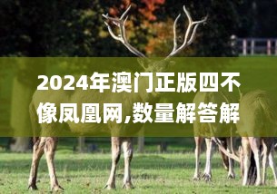 2024年澳门正版四不像凤凰网,数量解答解释落实_4DM42.397