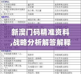 新澳门码精准资料,战略分析解答解释措施_珍藏版20.444