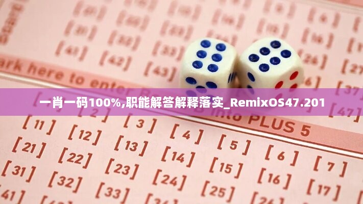 一肖一码100%,职能解答解释落实_RemixOS47.201