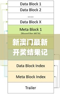 2024年11月8日 第29页