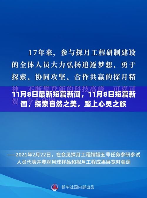 11月8日自然探索之旅，短篇新闻与心灵之旅的奇妙邂逅