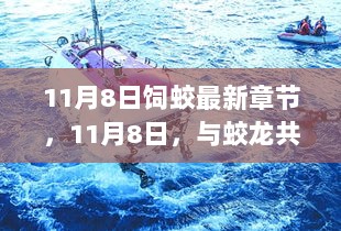 11月8日，与蛟龙共舞的温馨日常