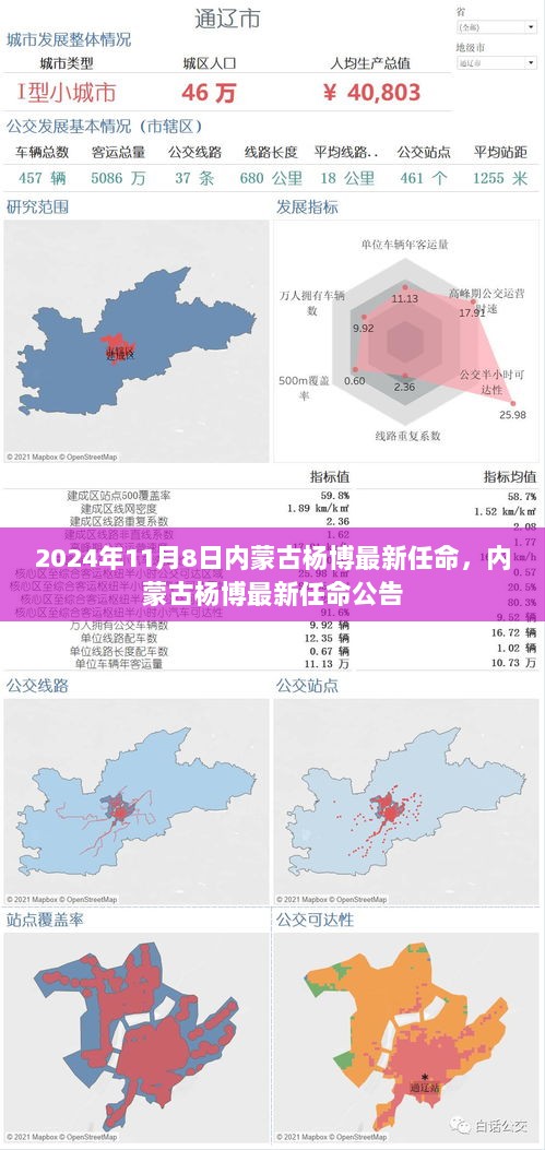 内蒙古杨博最新任命公告（2024年11月8日）