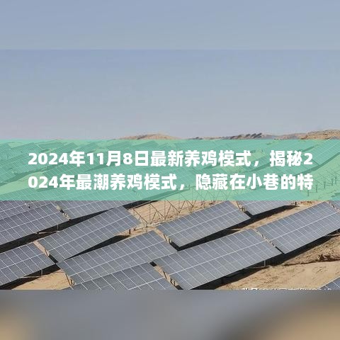 2024年最潮养鸡模式揭秘，隐藏在小巷的特色鸡店探访记