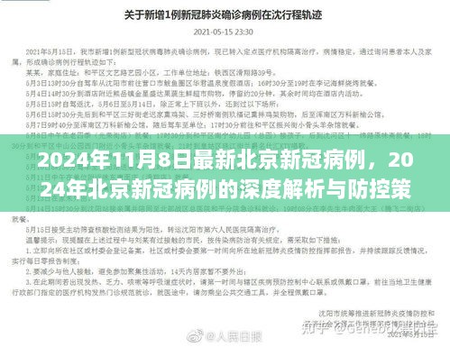 2024年北京新冠病例深度解析与防控策略