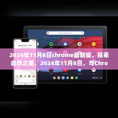 Chrome新篇章，2024年11月8日探索自然之美的心灵之旅