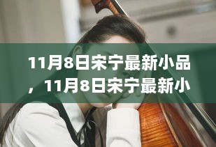 11月8日宋宁最新小品学习指南，轻松掌握小品表演技巧的秘诀