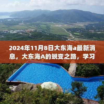 大东海A，蜕变之路，学习新知，自信成就未来的2024年11月8日最新消息