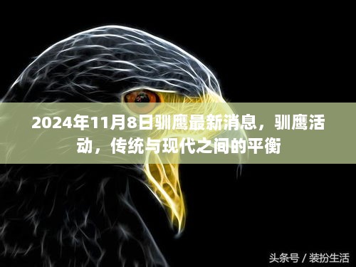 2024年11月8日驯鹰活动，传统与现代之间的平衡新动态