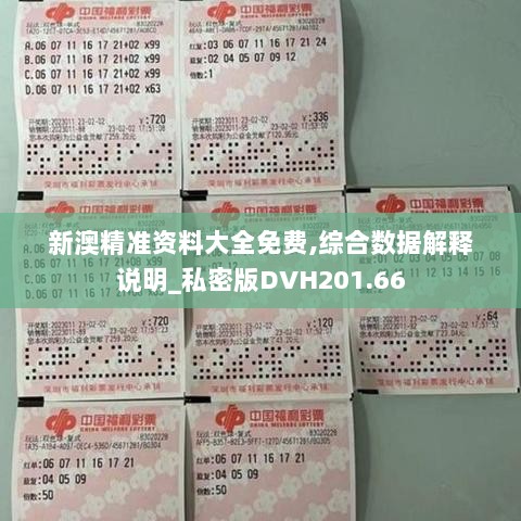 新澳精准资料大全免费,综合数据解释说明_私密版DVH201.66