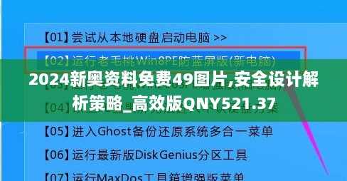 2024新奥资料免费49图片,安全设计解析策略_高效版QNY521.37