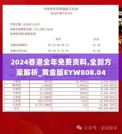 2024香港全年免费资料,全新方案解析_黄金版EYW808.04