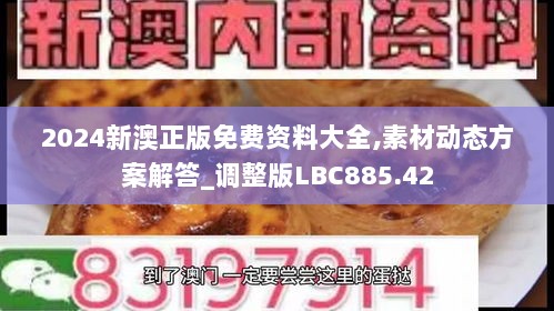 2024新澳正版免费资料大全,素材动态方案解答_调整版LBC885.42