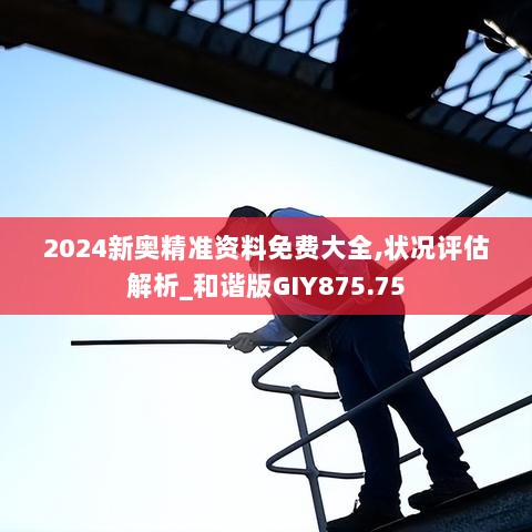 2024新奥精准资料免费大全,状况评估解析_和谐版GIY875.75