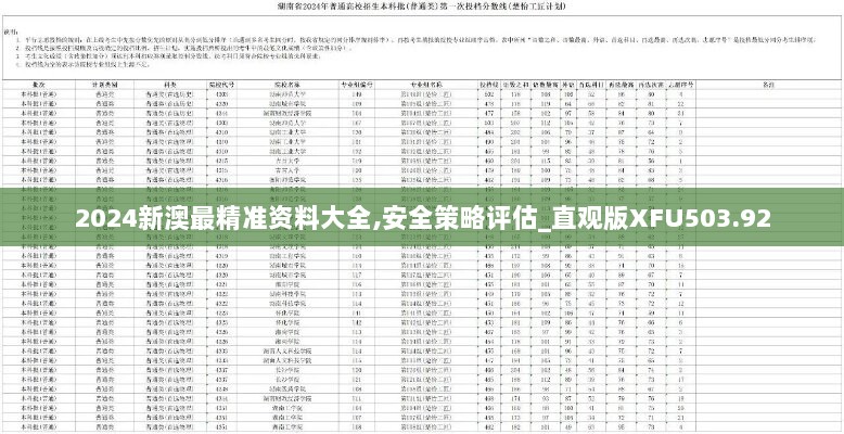 2024新澳最精准资料大全,安全策略评估_直观版XFU503.92