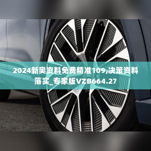 2024新奥资料免费精准109,决策资料落实_专家版VZB664.27