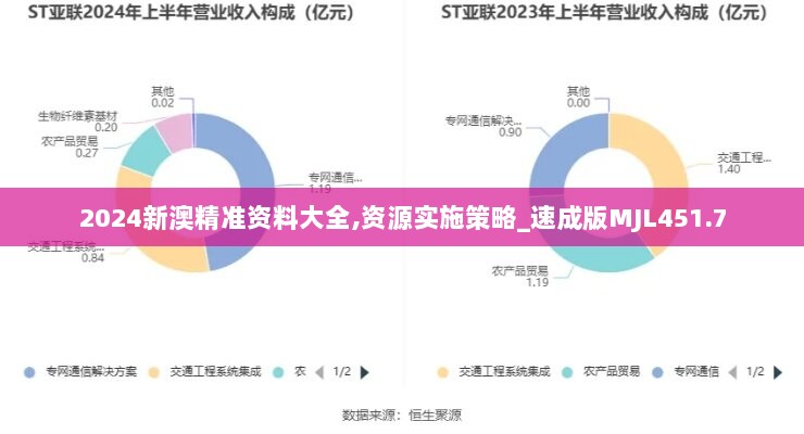 2024新澳精准资料大全,资源实施策略_速成版MJL451.7