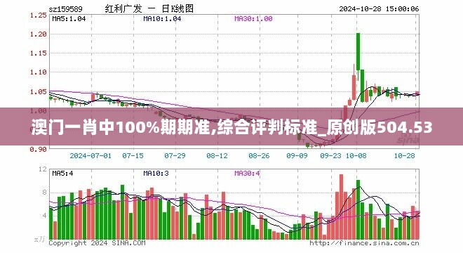 澳门一肖中100%期期准,综合评判标准_原创版504.53