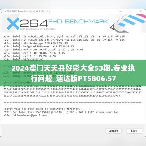 2024澳门天天开好彩大全53期,专业执行问题_速达版PTS806.57