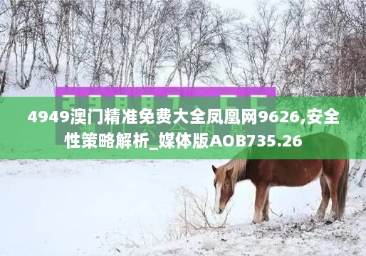 4949澳门精准免费大全凤凰网9626,安全性策略解析_媒体版AOB735.26