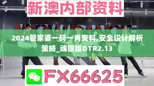 2024管家婆一码一肖资料,安全设计解析策略_魂银版DTR2.13